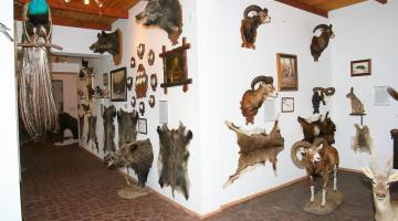 Afrikai-Magyar Magánmúzeum, Kisbágyon
